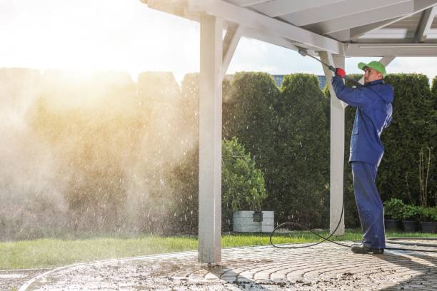 Best Driveway Pressure Washing  in Dover, TN
