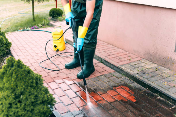 Boat and Dock Cleaning in Dover, TN