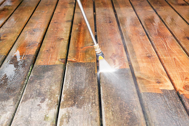 Best Roof Washing  in Dover, TN